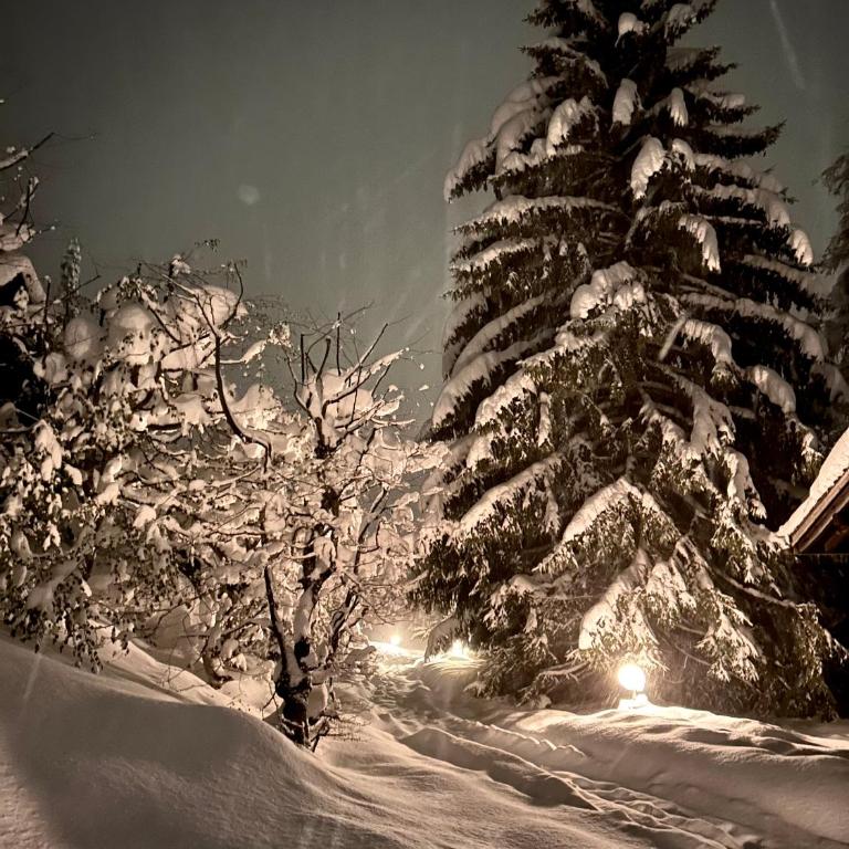 Cosy Chalet 87 in Engelberg with spectacular mountain and lake Views - Chalet mit 3 Schlafzimmern - 35