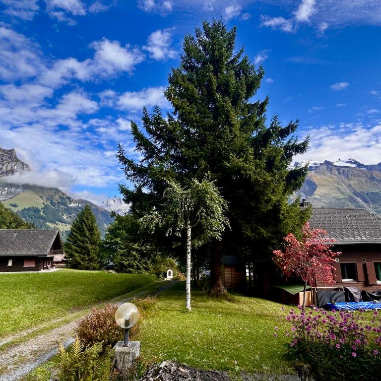 Cosy Chalet 87 in Engelberg with spectacular mountain and lake Views - Chalet mit 3 Schlafzimmern - 43