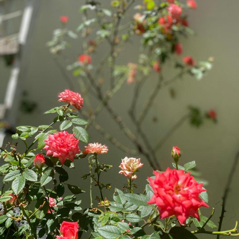 Oasis in the heart of Providencia - Apartamento de 2 dormitorios - 16