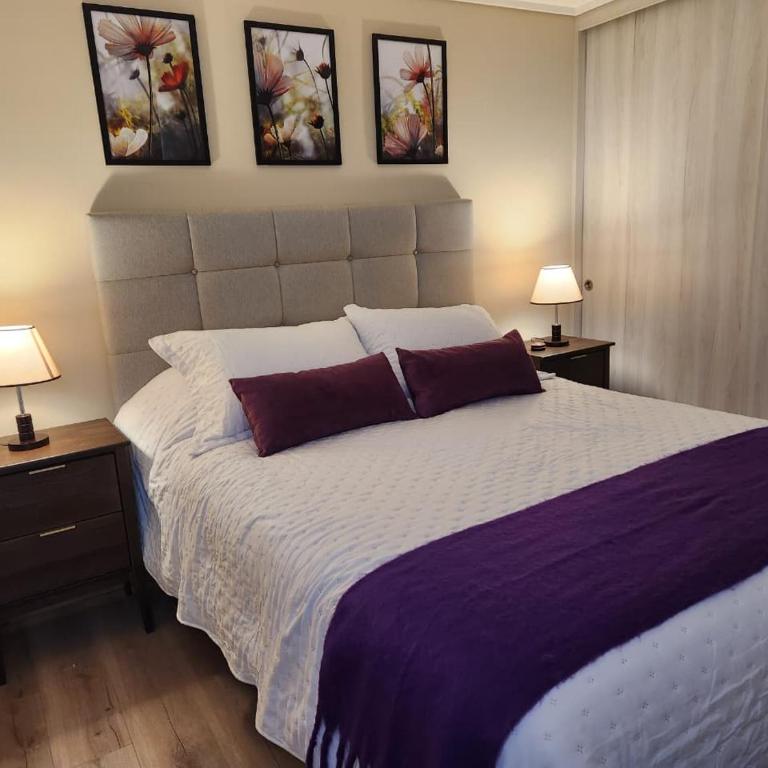 Dpto full equipado,dormitorio en suite en Valdivia - Three-Bedroom Apartment - 7