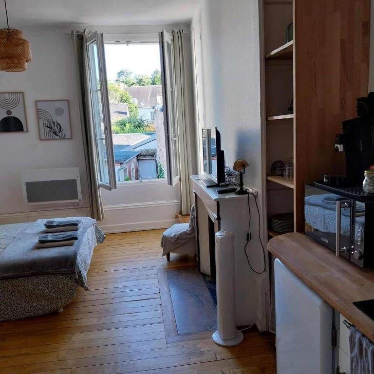 Studio Amboise centre historique - Appartement 1 Chambre - 10