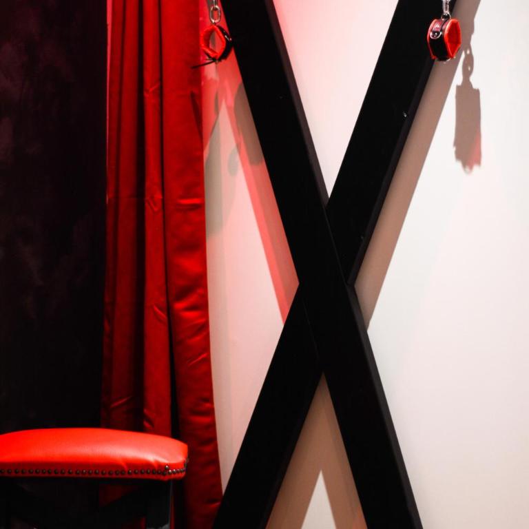 Sous le Charme de Charles Sauna & Jacuzzi Nancy - Appartement 1 Chambre - 21