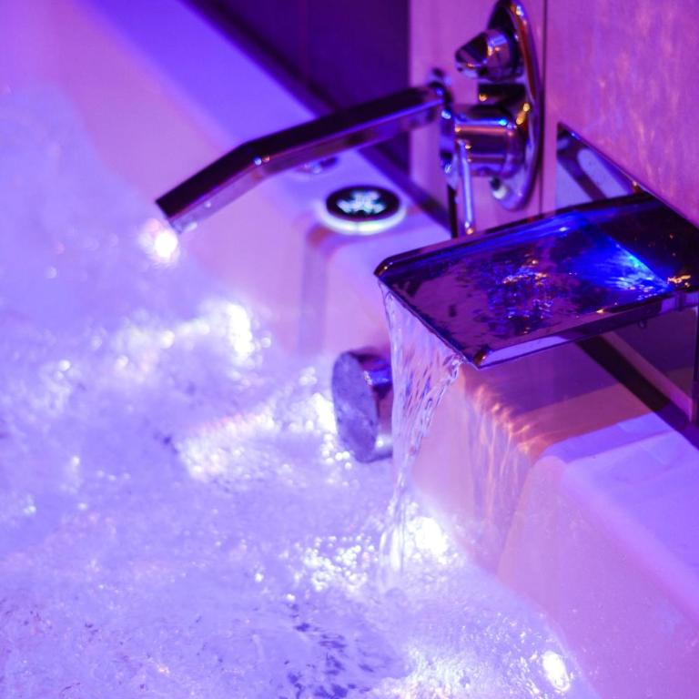 Sous le Charme de Charles Sauna & Jacuzzi Nancy - Appartement 1 Chambre - 27