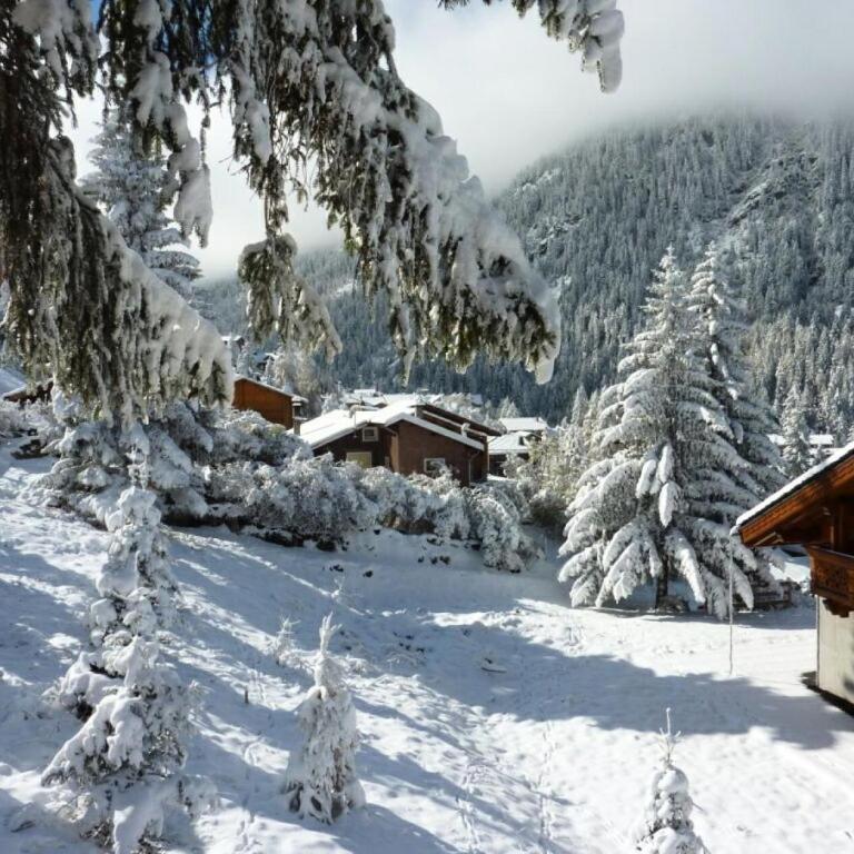 Les Chalets D'arrondaz - Appartement 4 personnes 36 m² MAE-0833 - Appartement - 9