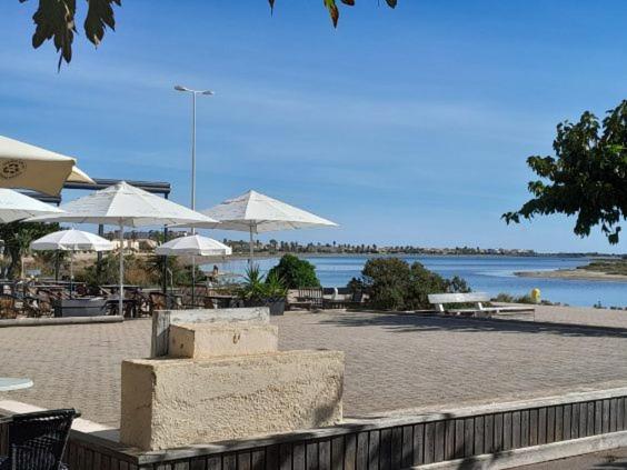 Joli appartement climatisé résidence avec piscine et plage du Grazel à 180m - Appartement 1 Chambre - Vue sur Piscine - 28