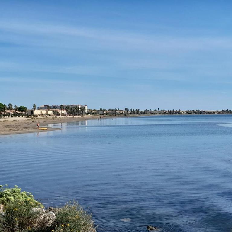 Joli appartement climatisé résidence avec piscine et plage du Grazel à 180m - Appartement 1 Chambre - Vue sur Piscine - 30