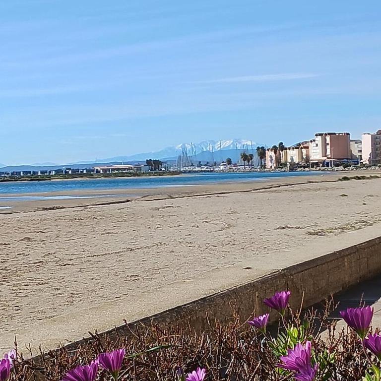 Joli appartement climatisé résidence avec piscine et plage du Grazel à 180m - Appartement 1 Chambre - Vue sur Piscine - 31