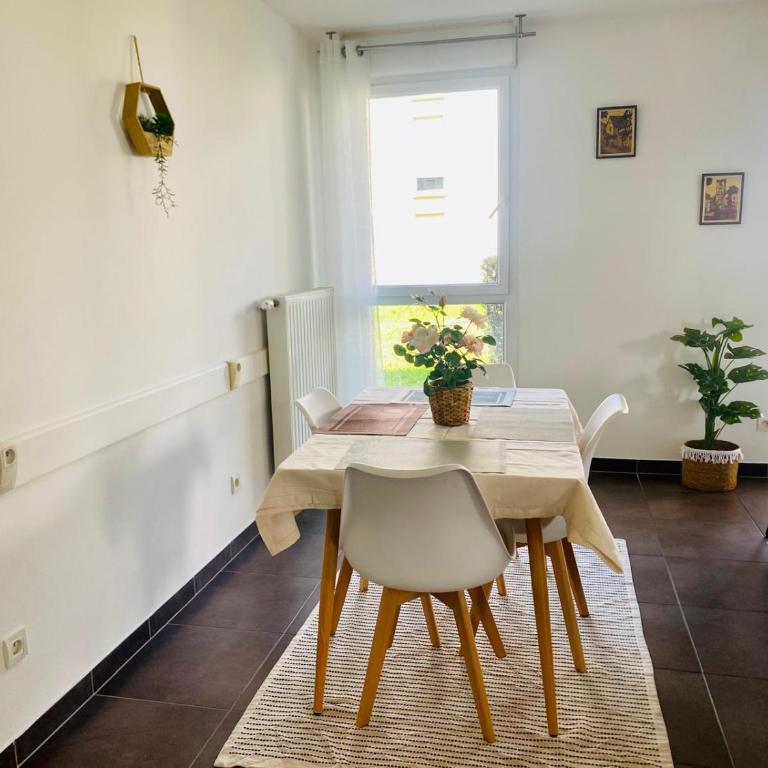 Les aventures de Madame Bretzel - Appartement 1 Chambre - 10