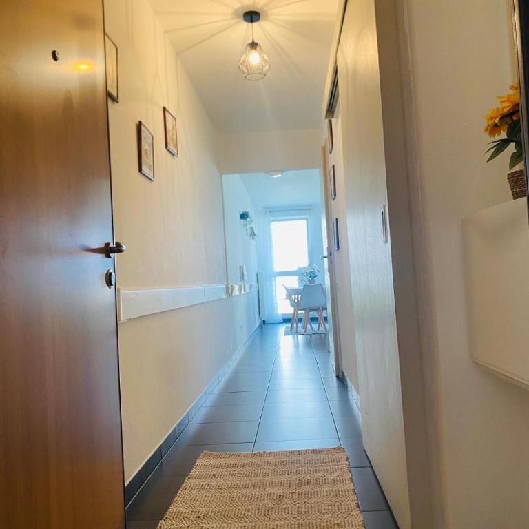 Les aventures de Madame Bretzel - Appartement 1 Chambre - 4
