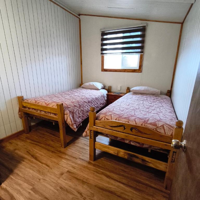 Hostel caleta union - Single Bed in Mixed Dormitory Room - 1