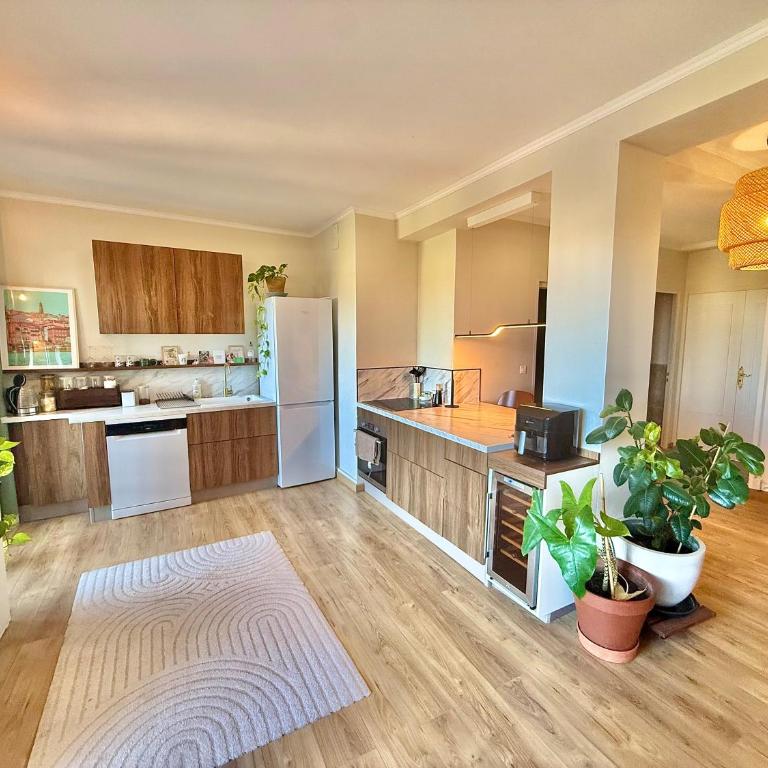 L'Amazone - T2 Moderne - Croix de Pierre - Appartement 1 Chambre - 1