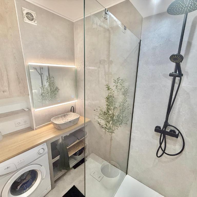 L'Amazone - T2 Moderne - Croix de Pierre - Appartement 1 Chambre - 6