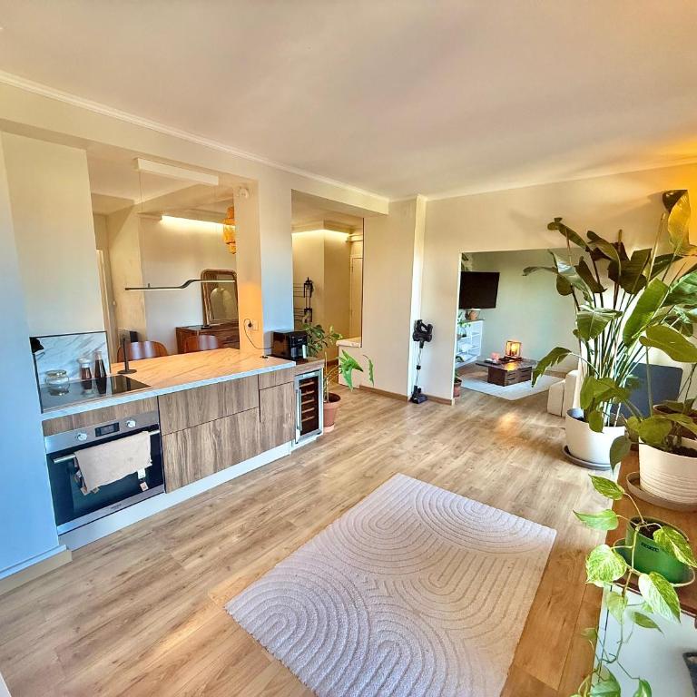 L'Amazone - T2 Moderne - Croix de Pierre - Appartement 1 Chambre - 2