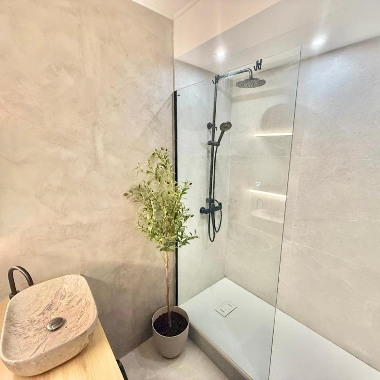 L'Amazone - T2 Moderne - Croix de Pierre - Appartement 1 Chambre - 13