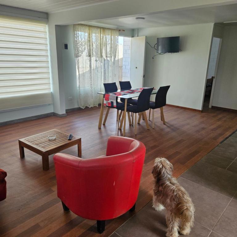 Casa altos del mar - Two-Bedroom House - 24