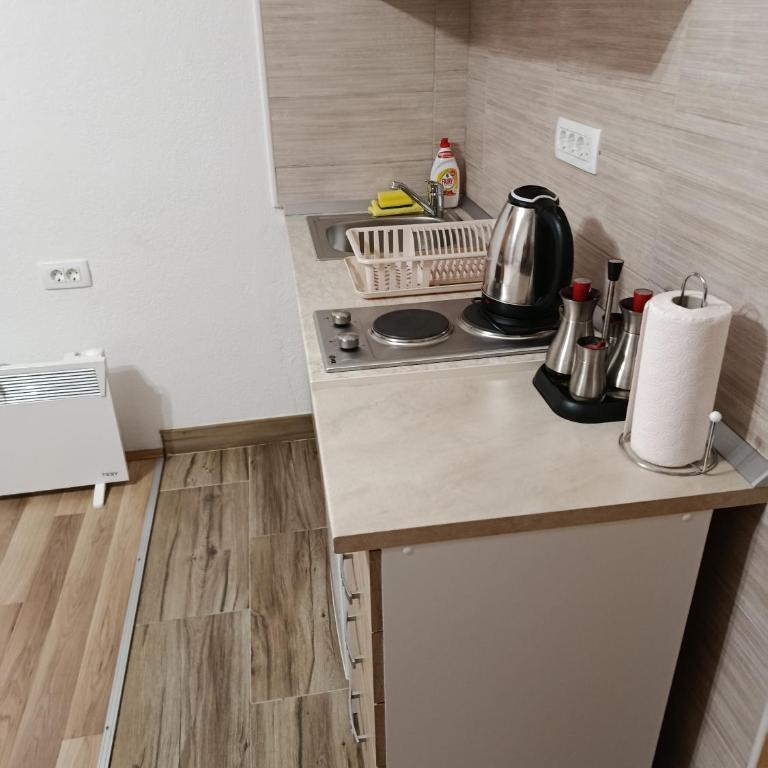 Apartments Nemanja - Studio - 10