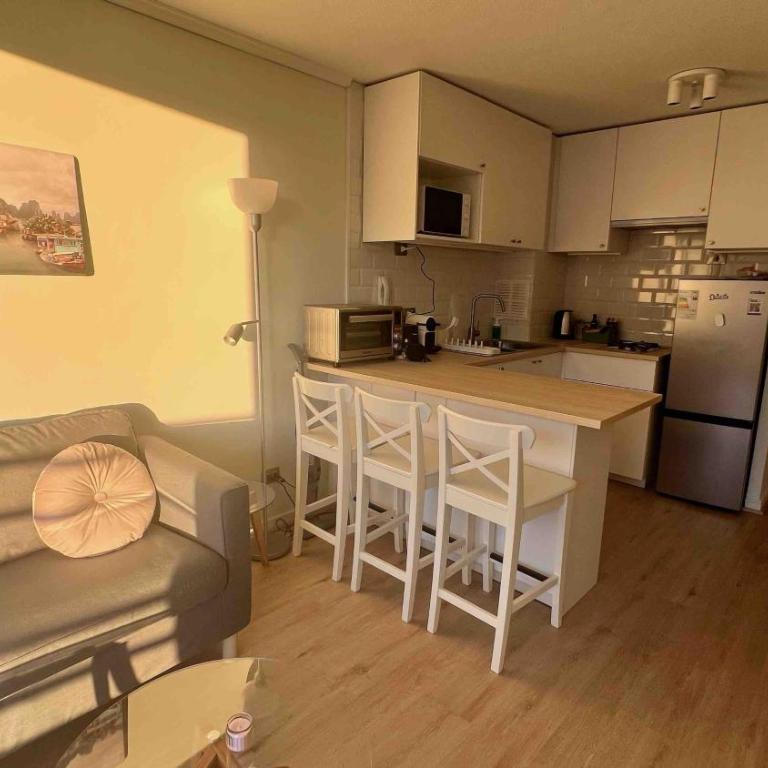 RD175 Acogedor y luminoso departamento amoblado en el corazón de Providencia - One-Bedroom Apartment - 1