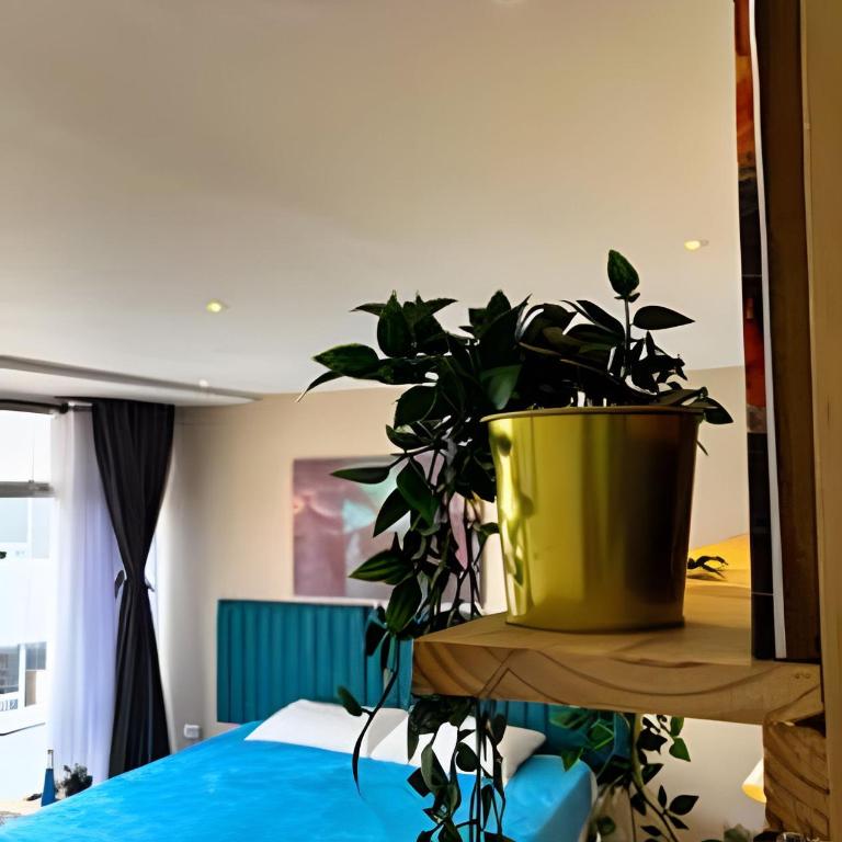 Luxury Apartaestudio Chapinero - Apartamento - 4