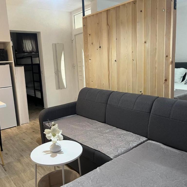 Apartmani Zilic - One-Bedroom Standard Apartment - 10