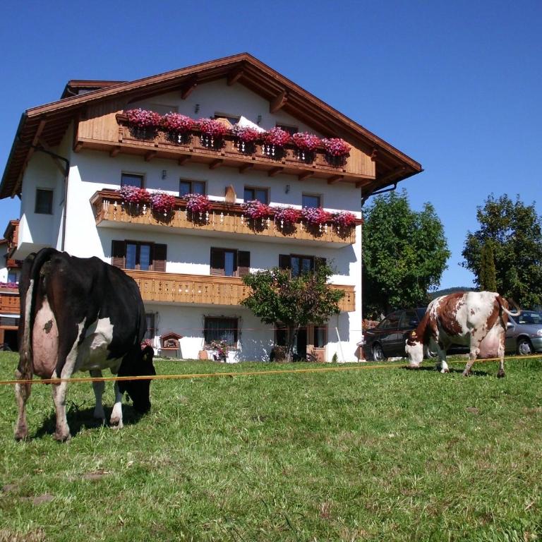 Rosenheim - Apartamento con balcón - 19