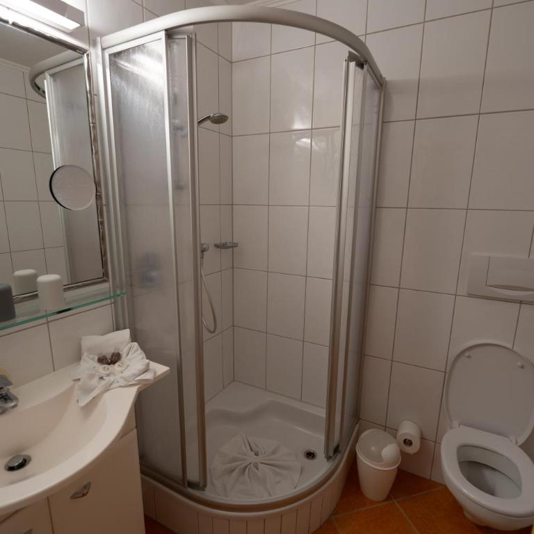 Alpenhotel Regina - Zweibettzimmer mit Bergblick (2 Erwachsene) - 10