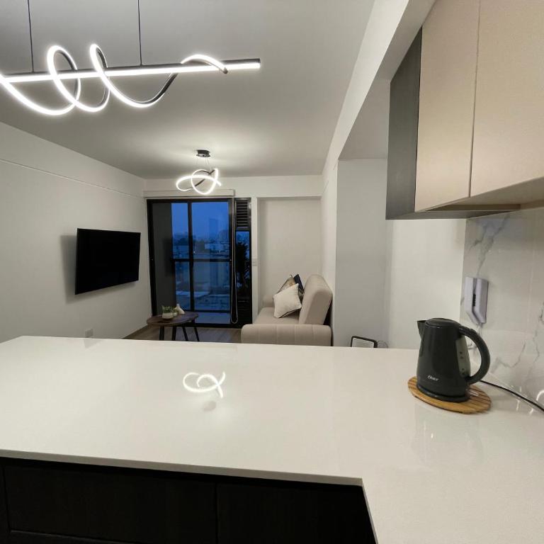 Brand new apartment in Miraflores - Two-Bedroom Apartment - 13
