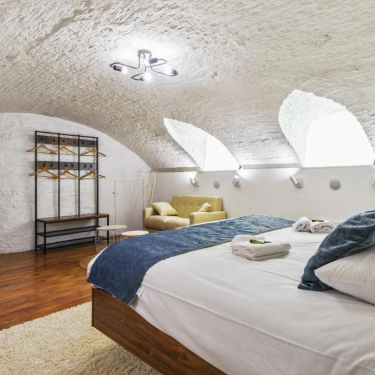 Design Studio in Vaulted Cellar - Lille Old Town - Monolocale Queen - 2