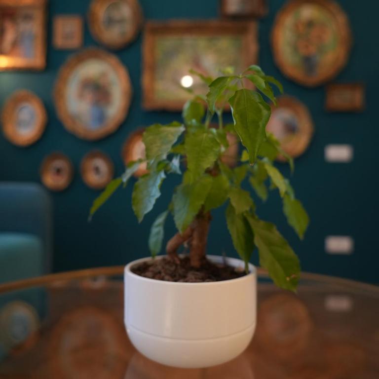 Winona apartment - Apartman sa 1 Spavaćom Sobom - 23