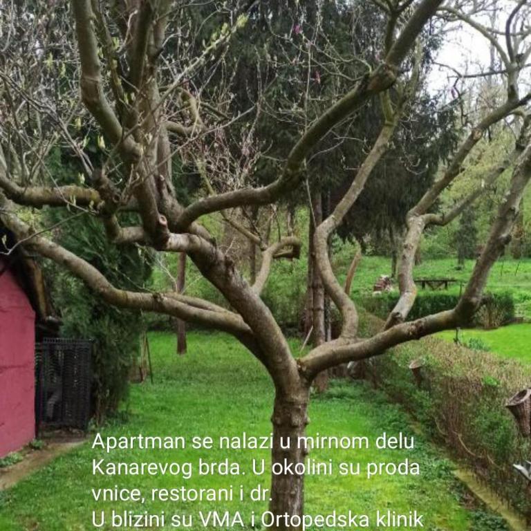 Apartman Oaza Olja - Apartman sa 1 Spavaćom Sobom - 16