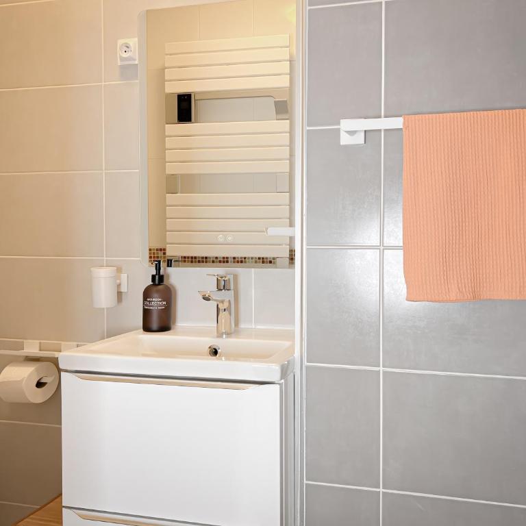 Le pédestre - Appartement cosy hyper centre-ville de DIJON - Apartamento de 1 dormitorio - 6