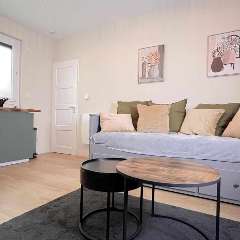 Le pédestre - Appartement cosy hyper centre-ville de DIJON - Apartamento de 1 dormitorio - 11
