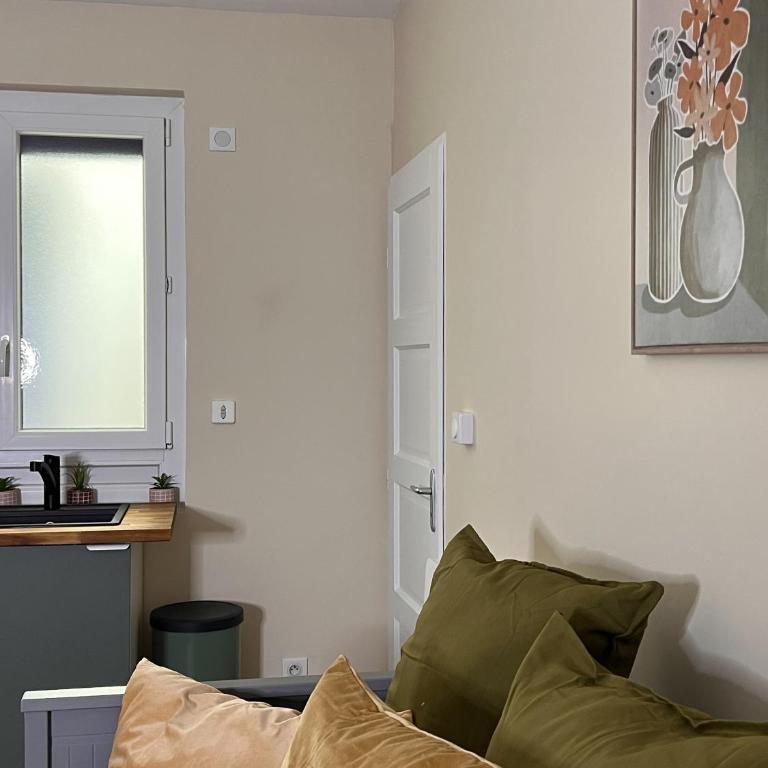Le pédestre - Appartement cosy hyper centre-ville de DIJON - Apartamento de 1 dormitorio - 5