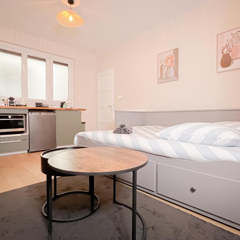 Le pédestre - Appartement cosy hyper centre-ville de DIJON - Apartamento de 1 dormitorio - 8