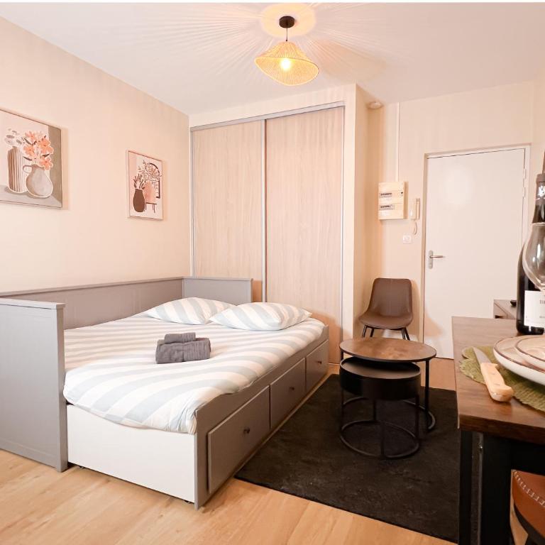 Le pédestre - Appartement cosy hyper centre-ville de DIJON - Apartamento de 1 dormitorio - 19