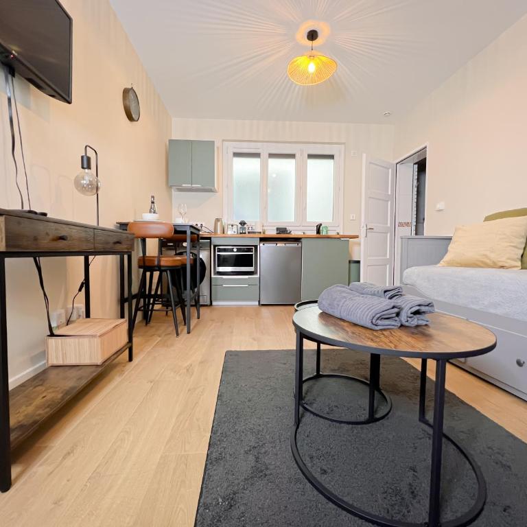 Le pédestre - Appartement cosy hyper centre-ville de DIJON - Apartamento de 1 dormitorio - 35