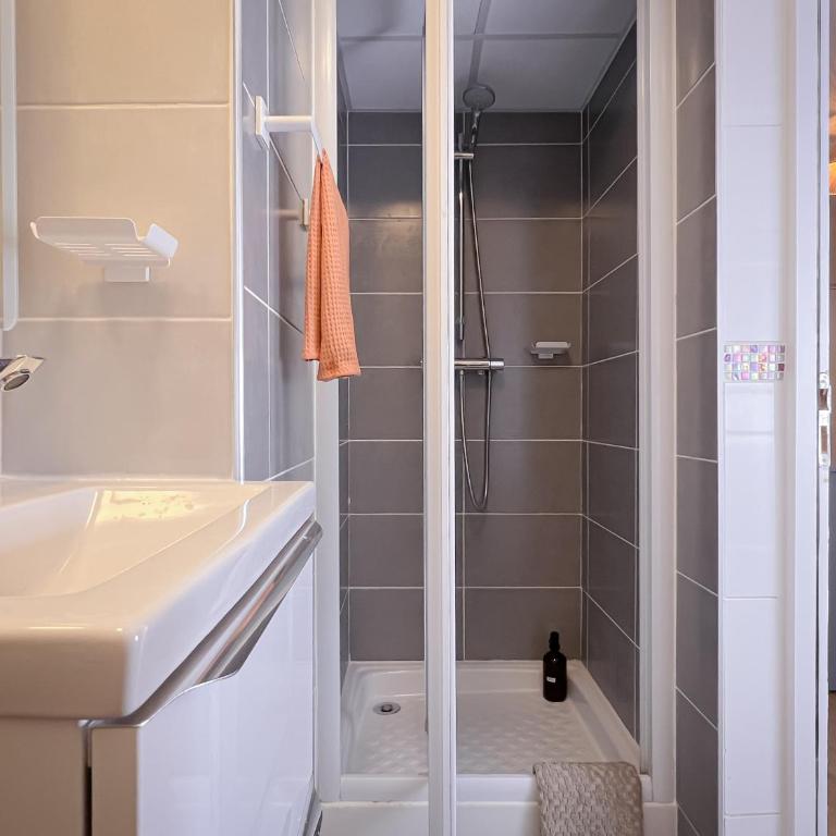 Le pédestre - Appartement cosy hyper centre-ville de DIJON - Apartamento de 1 dormitorio - 50