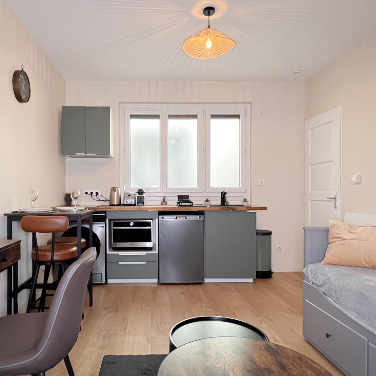 Le pédestre - Appartement cosy hyper centre-ville de DIJON - Apartamento de 1 dormitorio - 56