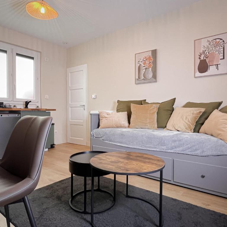 Le pédestre - Appartement cosy hyper centre-ville de DIJON - Apartamento de 1 dormitorio - 58