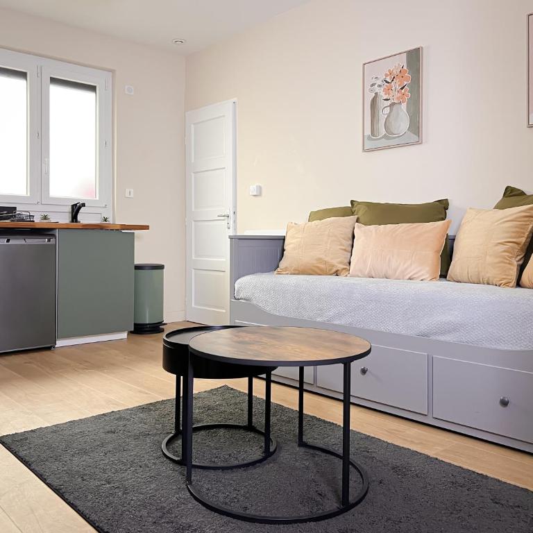 Le pédestre - Appartement cosy hyper centre-ville de DIJON - Apartamento de 1 dormitorio - 55