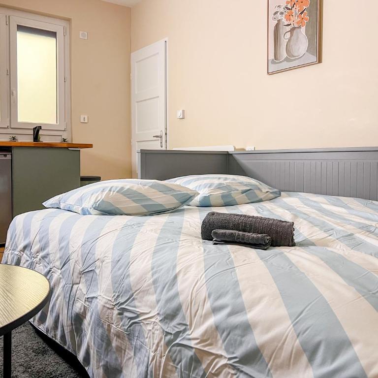Le pédestre - Appartement cosy hyper centre-ville de DIJON - Apartamento de 1 dormitorio - 67