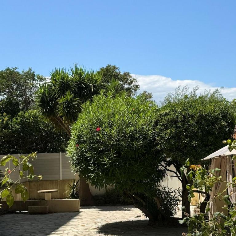 Charmant T2 proche de la mer - Apartment mit 1 Schlafzimmer - 20