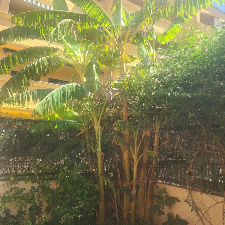 Apartamento Atlanterra Bajo - Two-Bedroom Apartment - 6