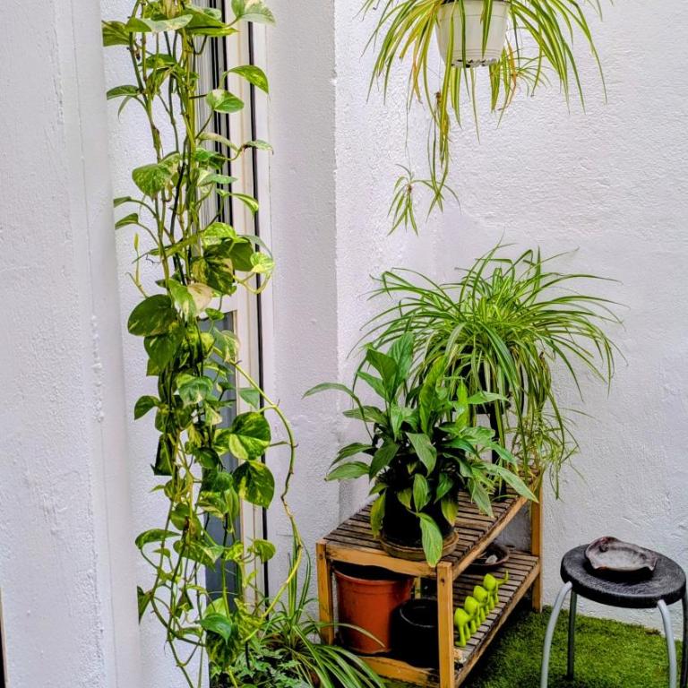 Apartamento con patio privado en Puerta de Toledo - Appartamento con 1 Camera da Letto - 4