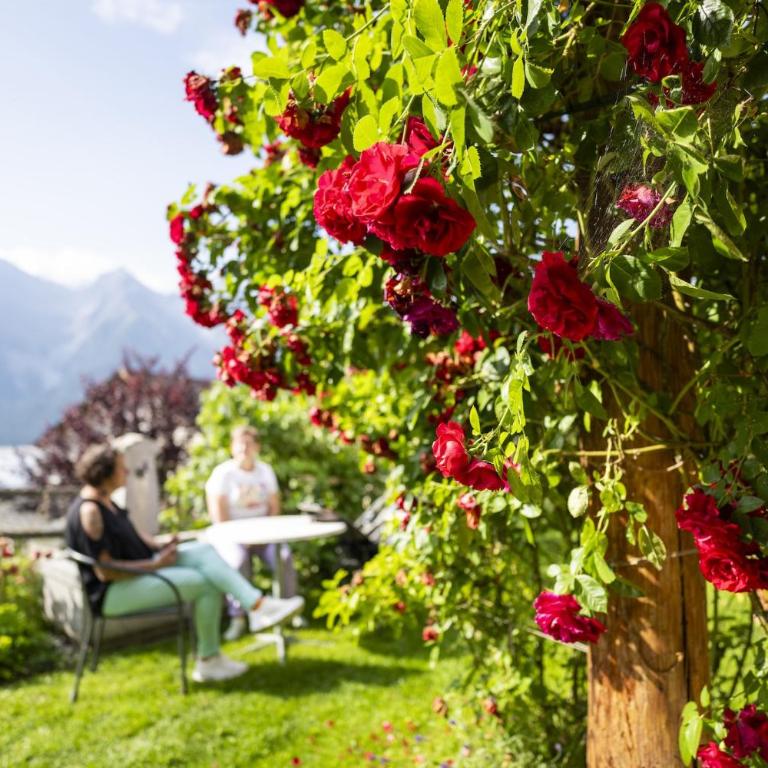Chasa Ulrica - Studio mit Terrasse - 21