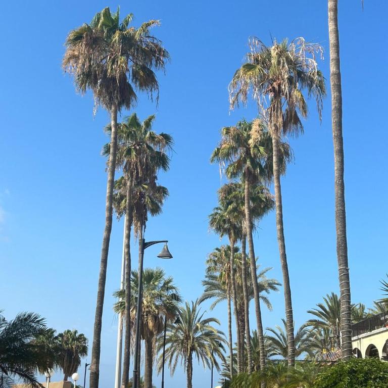 2 bed apt with pool views in Las Americas K201 - Apartamento de 2 dormitorios - 28