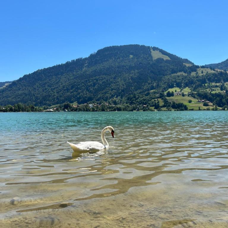 Ferienwohnung Weiherblick - Apartment mit Dusche - 46