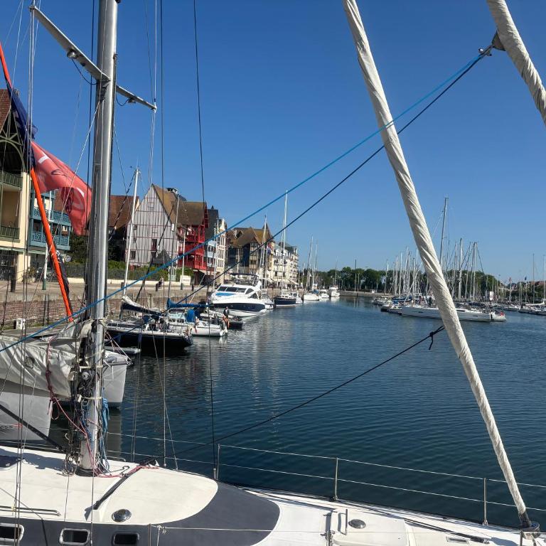 La presqu'île 2 bedrooms with terrace and garage - Two-Bedroom Apartment - 29