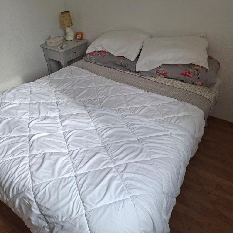 Appartement Montagne Moderne Pied des Pistes 6 Pers - Appartement 1 Chambre - 14