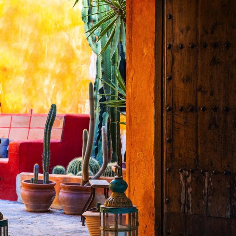 Cortijo Boutique Marbella - Lodge - 17