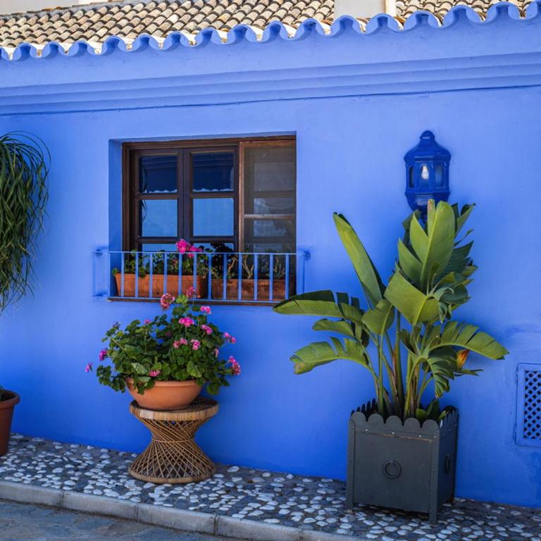 Cortijo Boutique Marbella - Lodge - 19